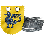 Shoelace & Embroidery
